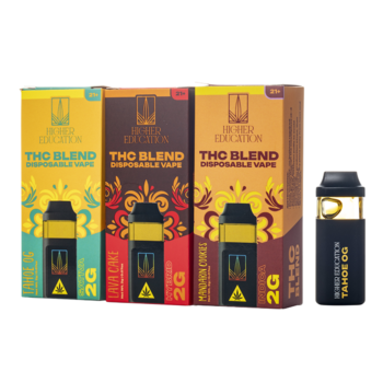 Higher Education THC Blend Disposable 2G In Pakistan
